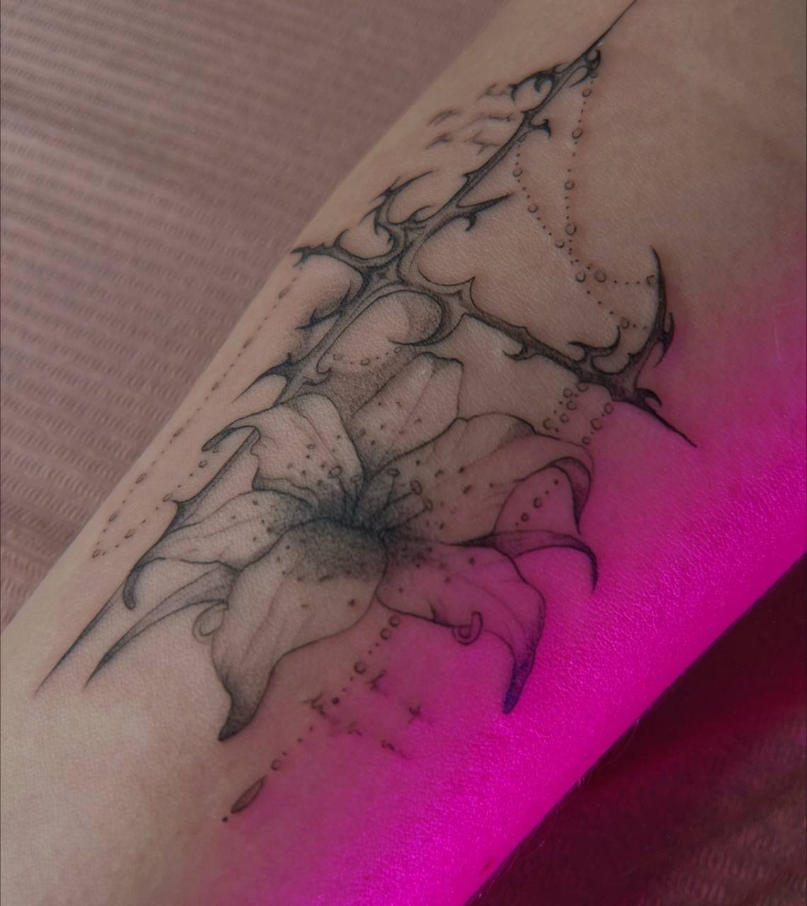 Портфолио: Анна